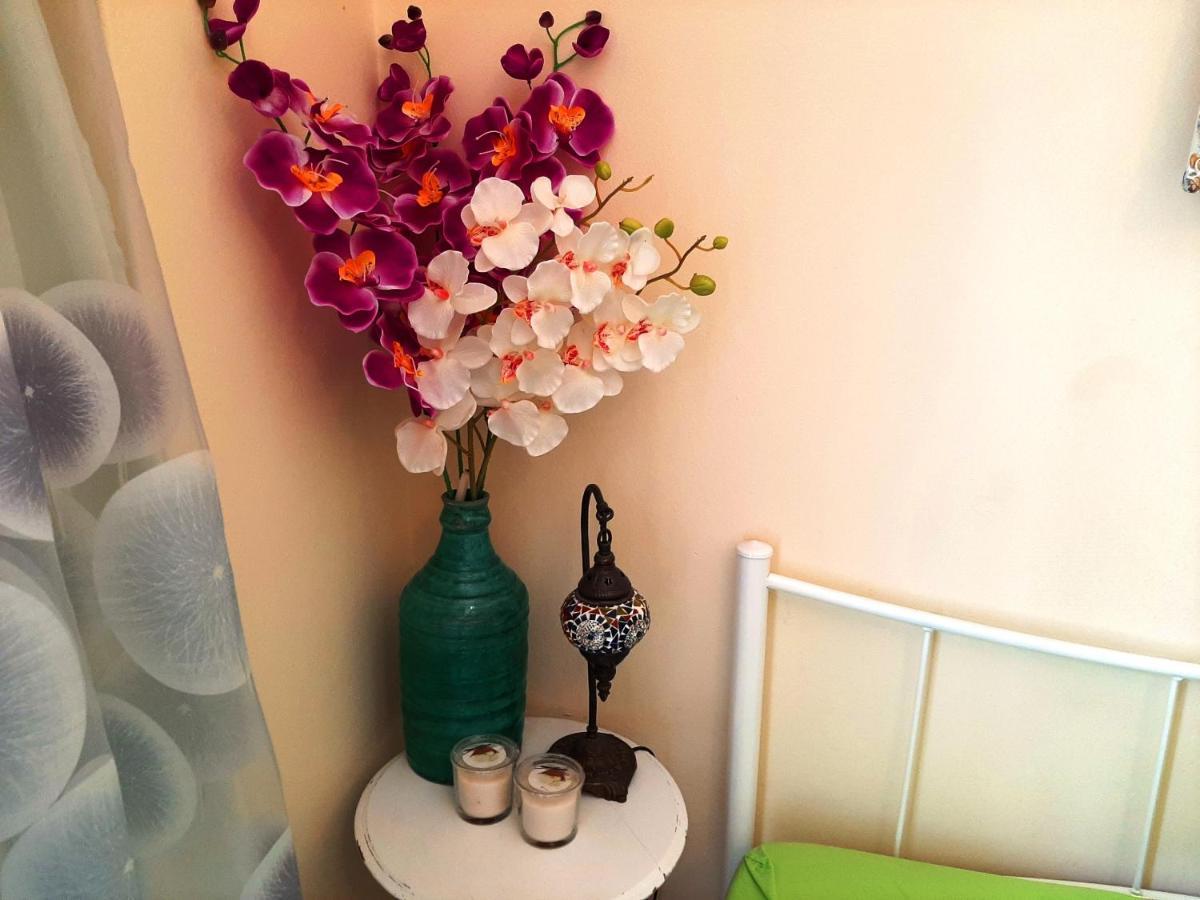 Renovated Apartment In The Center Of אתונה מראה חיצוני תמונה